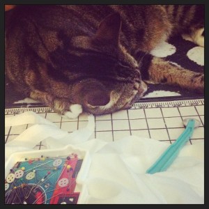 16501839527_199c0d1409_o